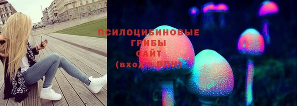 шишки Красноперекопск