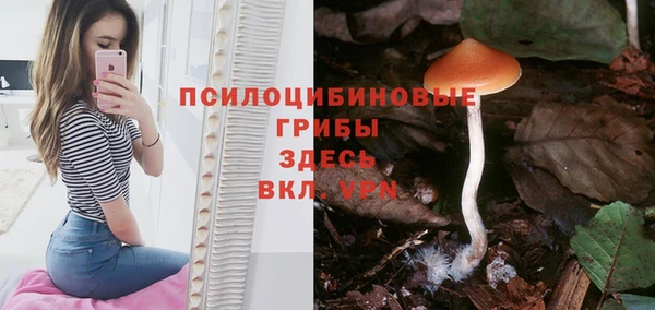 кристаллы Костерёво