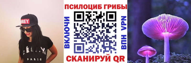 Купить где  Чегем  Псилоцибиновые грибы прущие грибы 