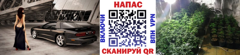 Бошки Шишки Ganja  Купить закладки  Чегем 